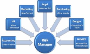 Enterprise Risk Management System pic